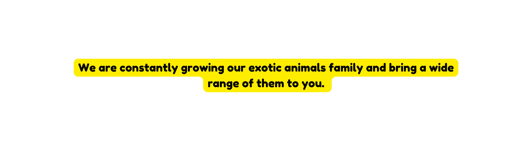 We are constantly growing our exotic animals family and bring a wide range of them to you